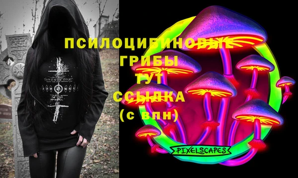 СК Киренск