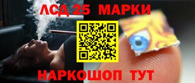 индика Бийск