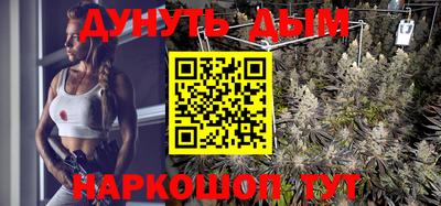 индика Бийск