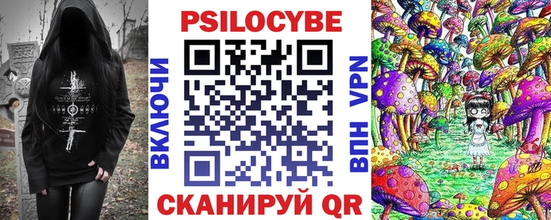 купить наркоту  Кашира  Галлюциногенные грибы Psilocybine cubensis 
