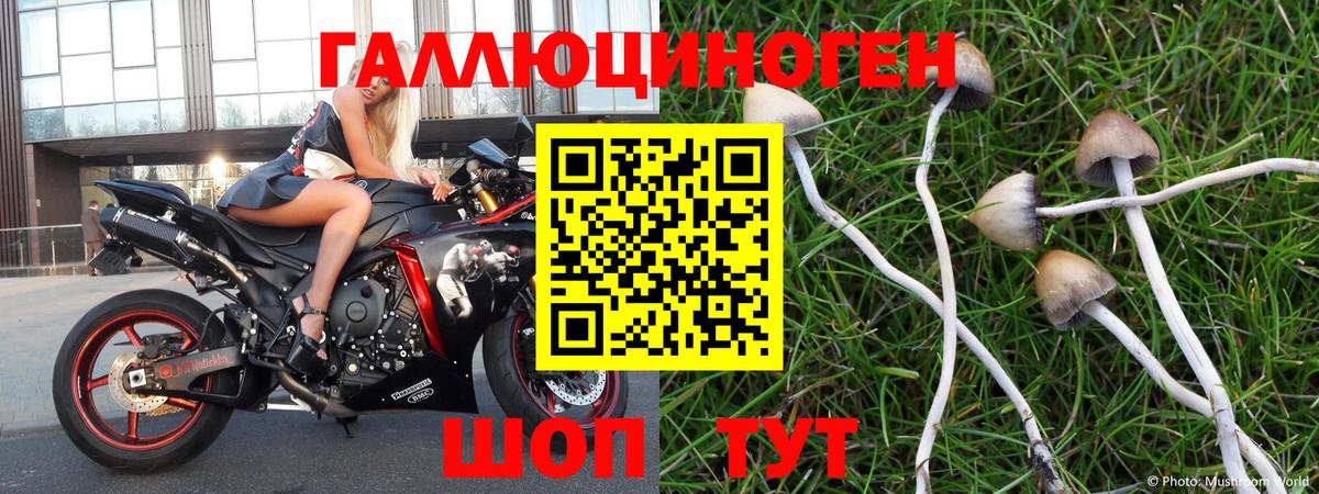 Псилоцибиновые грибы MAGIC MUSHROOMS Кашира