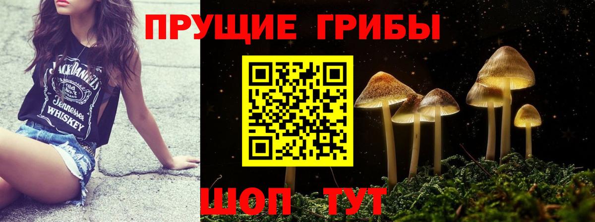 Псилоцибиновые грибы мухоморы  Псилоцибиновые грибы мицелий  продажа наркотиков  Вход с VPN  Кашира 